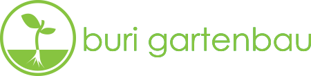 Buri